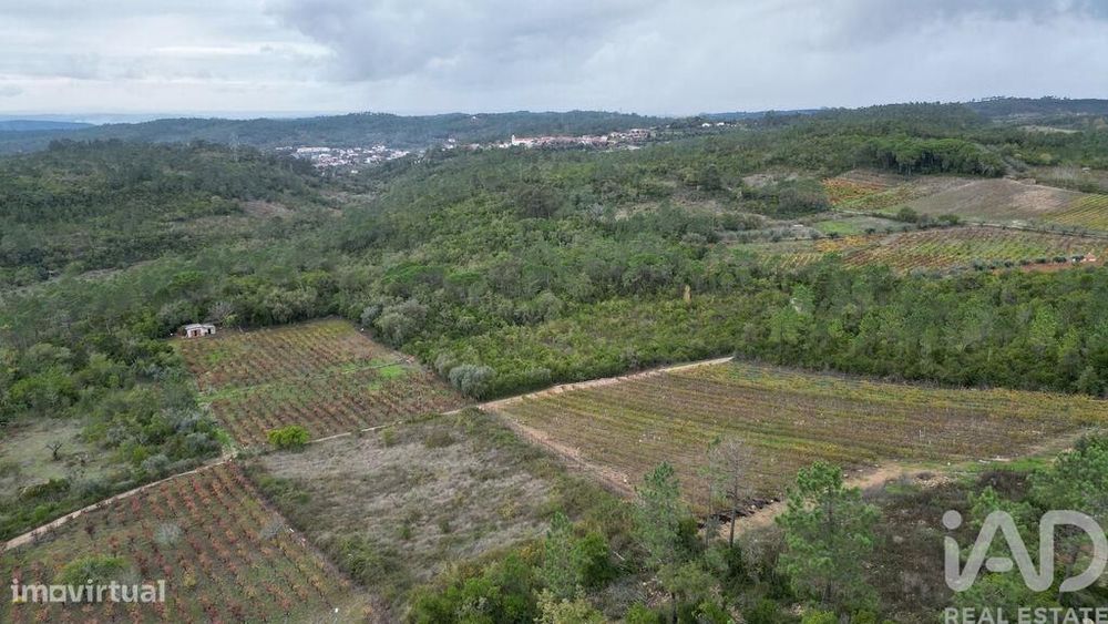 Terreno Agrícola em Condeixa-a-Velha e Condeixa-a-Nova
