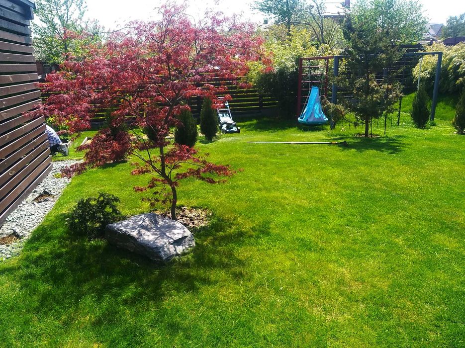 Ландшафтний дизайн, посів газону, стрижка газону, газон, косіння трави