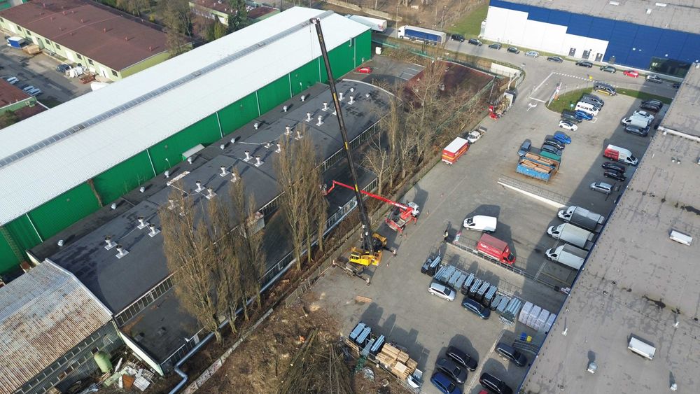 Mulczowanie, frezowanie pni, usługa mulczowania i WYCINKA DRZEW