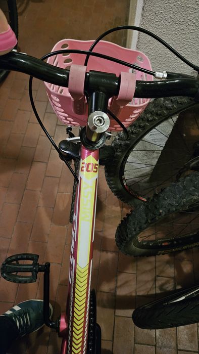 Bicicleta roda 20