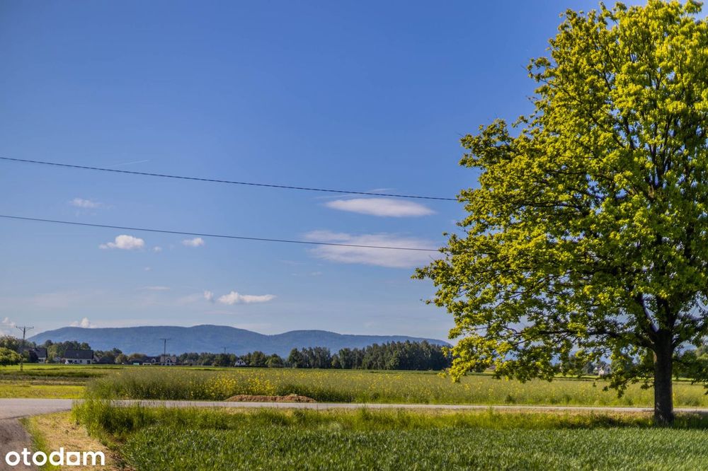 Sprzedam Działki Budowlane - Zasole Bielańskie