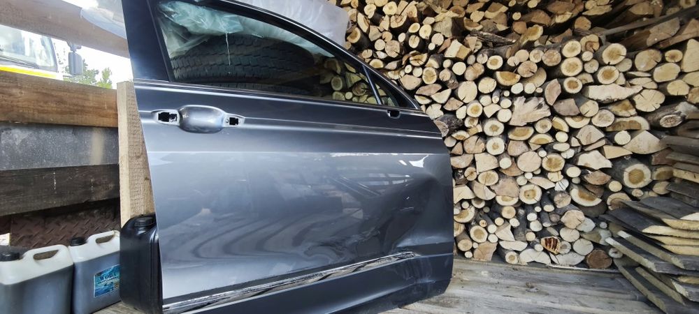 Drzwi przednie prawe Volkswagen Tiguan II 2018