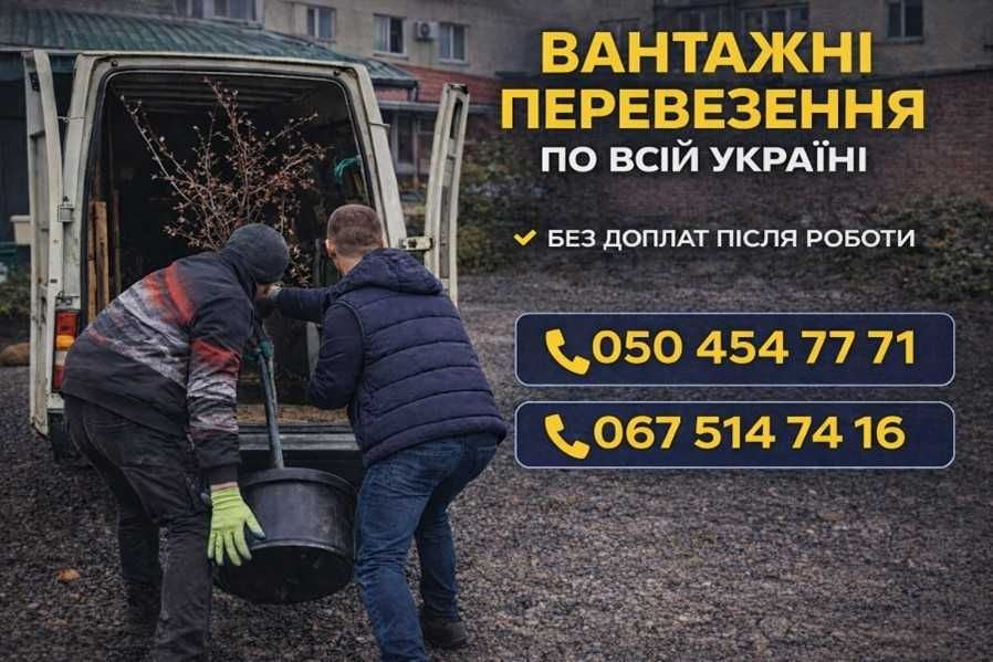 Вантажне таксі, Перевезення меблів, переїзд, бус , таксі, газель