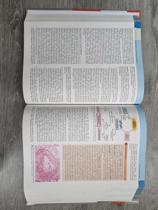 Robbins & Cotran Pathologic Basis of Disease - 9th Edition