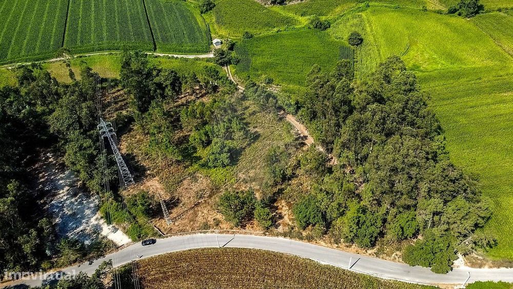 Terreno  para venda