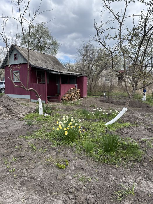 Продам дачу масив «СТ Лаврів»