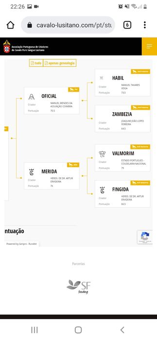 Vendo cavalo Puro sangue lusitano