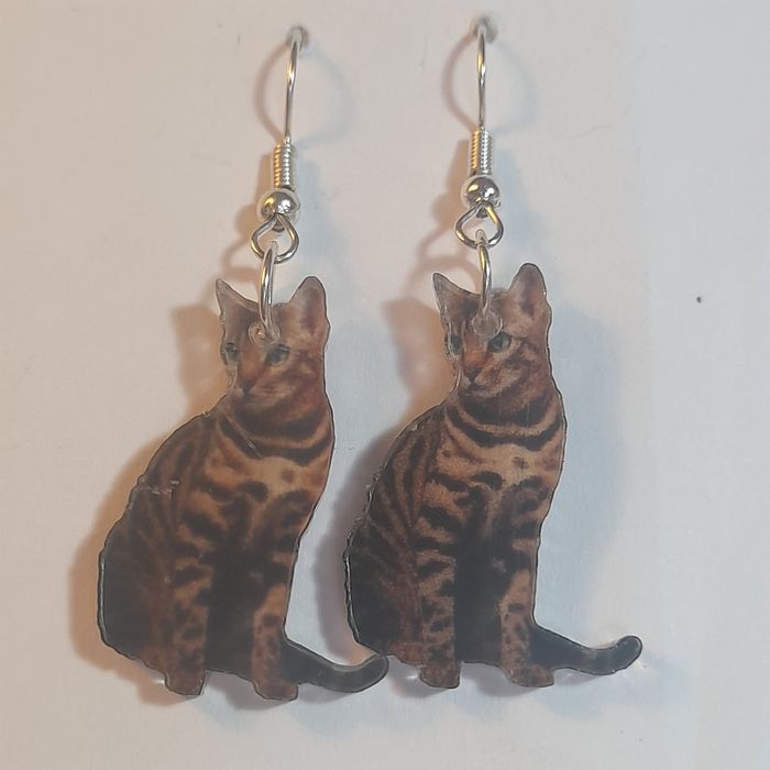 Brincos gatos hiperrealistas e fofinhos.