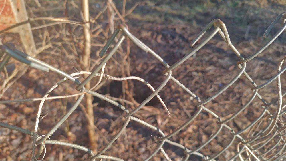 Сетка Рабица оцинкованная проволока