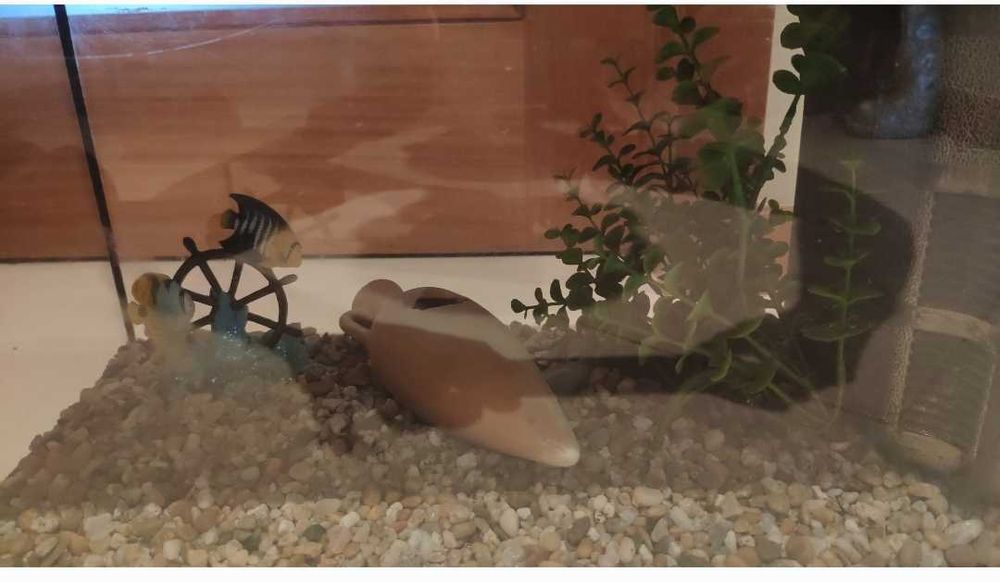 Aquário de peixes