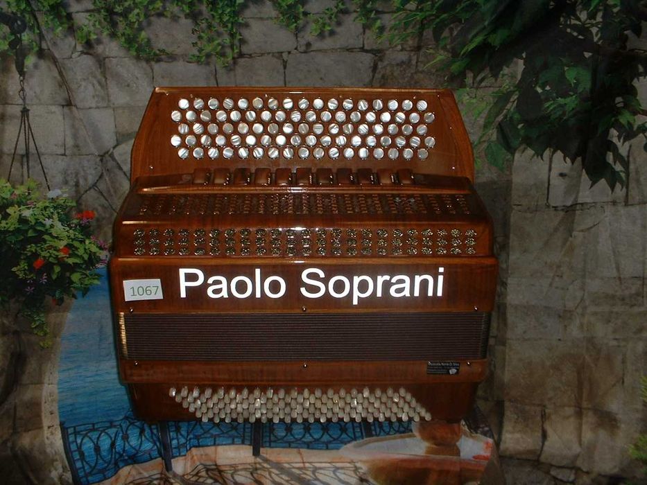 Promoção de Acordeões de concertinas