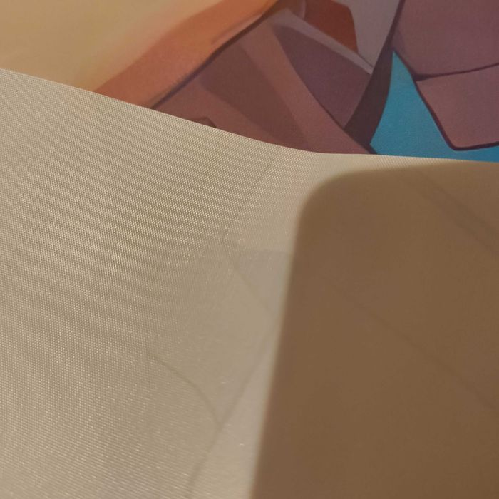 Tela Parede Bulma Dragon Ball