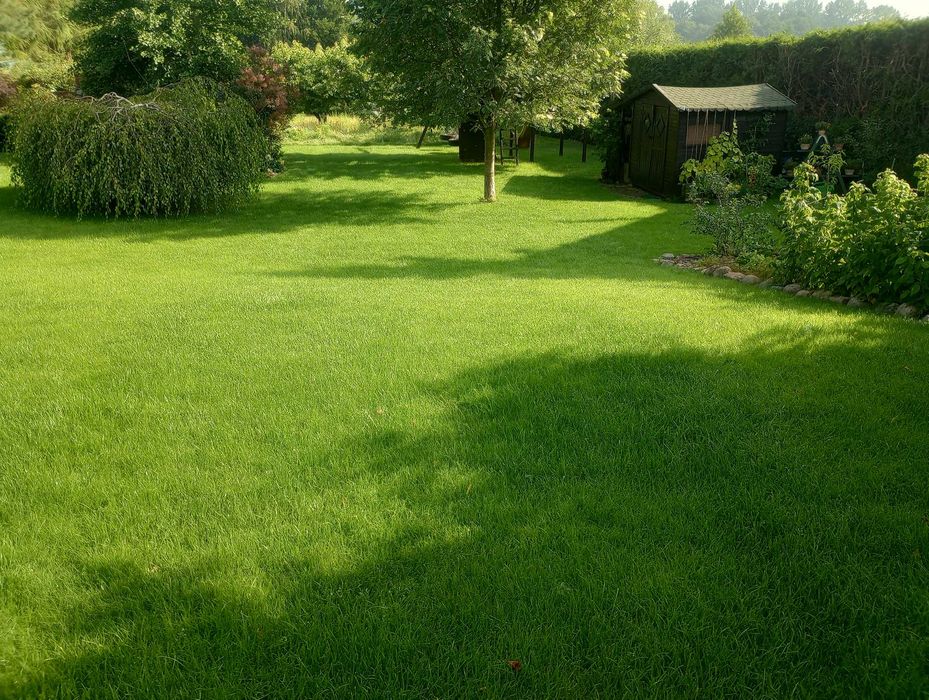 Zakładanie ogrodów, trawniki, nawadnianie, utrzymanie GreenMar
