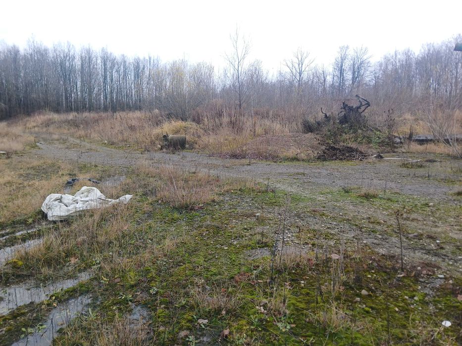 Продаж земельної ділянки, площею 0,5617 га, Чернівецька обл.