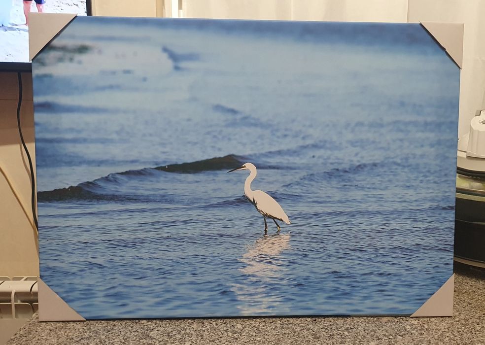 Da foto para o quadro na parede -Impressão em Tela Premium (Vários tamanhos e preços por orçamento)