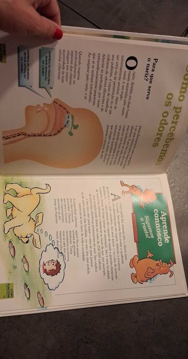Livro Era uma vez o corpo humano