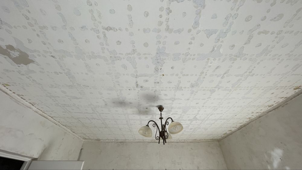 WOLNY TERMIN na WYKOŃCZENIA WNĘTRZ  Panele, malowanie, sufity, GK itp.