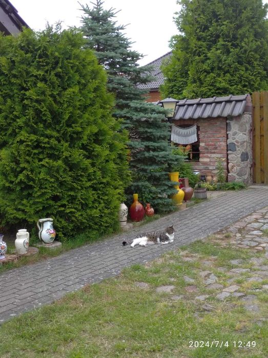 Pokoje gościnne Ustka "Słoneczne Zacisze"