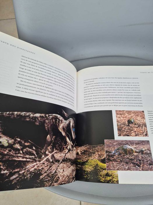 Livro de Capa Dura "O Tempo dos Dinossauros" de Tim Haines, Bom Estado