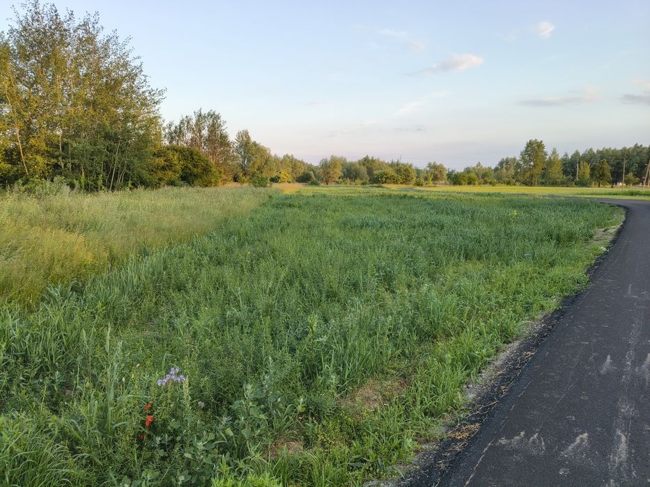 Działka 38 arów  w Sandomierzu