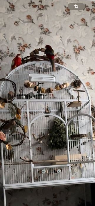Вольєр, клітка для папуг б/у, ТОРГ