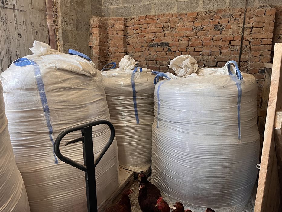 Беги мішки бу