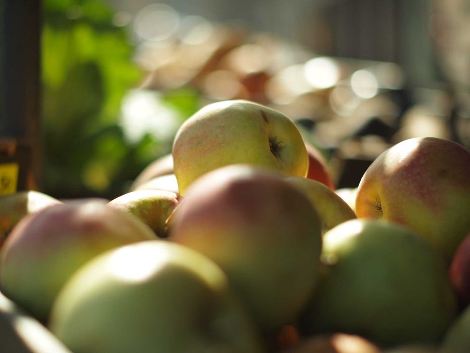 Olympus E-P1 retro aparat micro 4/3 z obiektywem TTArtisan 35mm f1.4