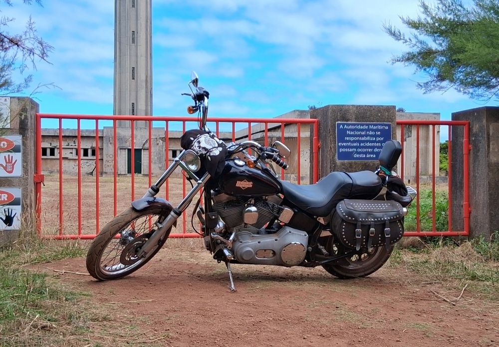 Harley Davidson softail