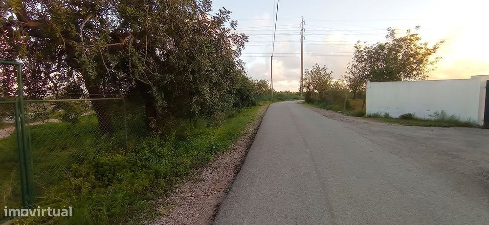 Terreno Rústico  Venda em Conceição e Estoi,Faro