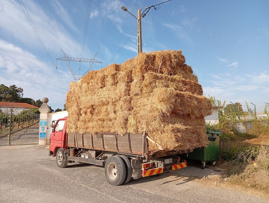 Fardos de feno nascedico