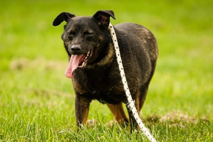 Zrobiła ogromne postępy! Szuka kochającej Rodziny!