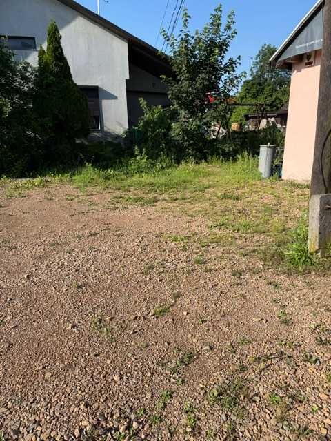 Plewienie chwastów