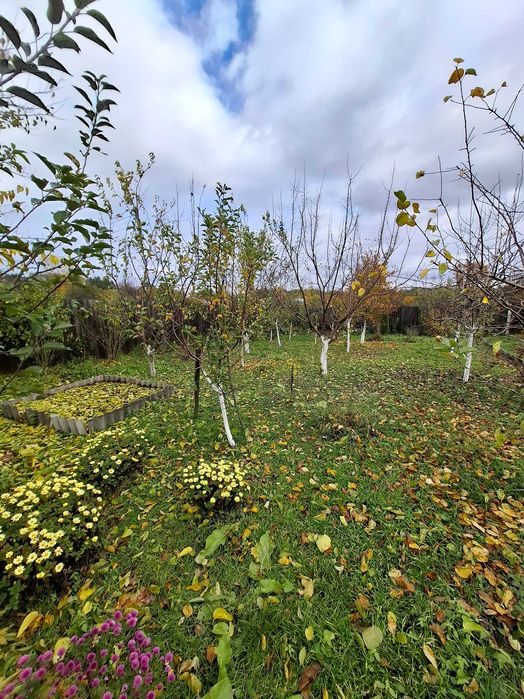 Відмінний будинок с. Піски, 20 км від Чернігова!