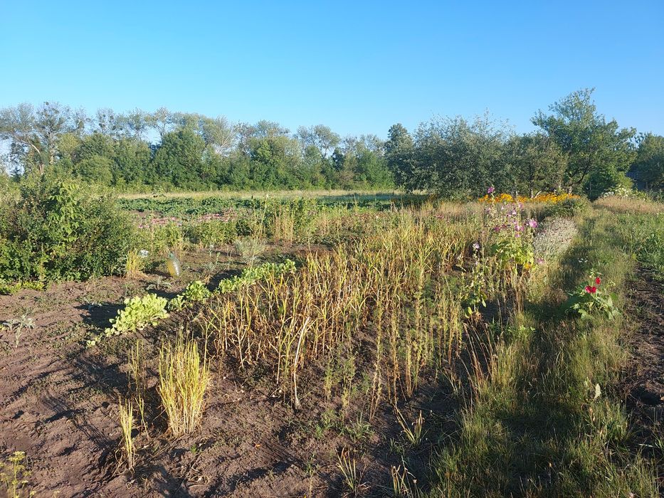 Продам участок в Солоницевском Отг (п Берминводы)