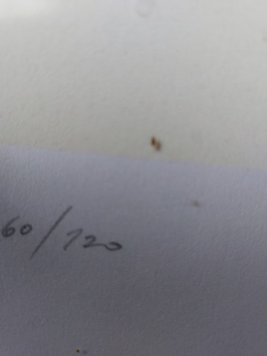 Serigrafia Mestre José Rodrigues com moldura e vidro