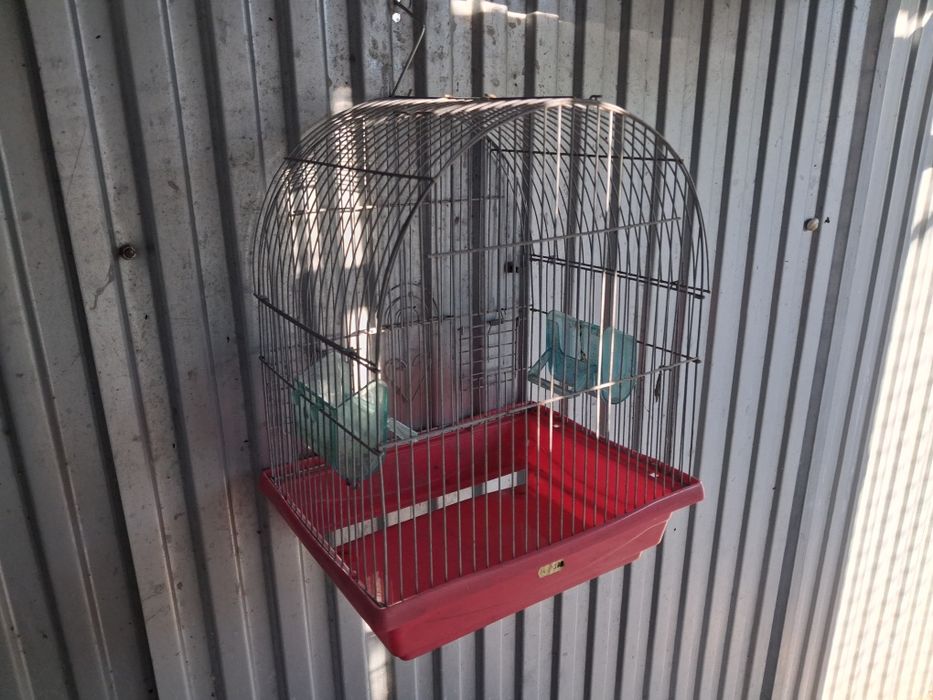 Gaiolas aves pequenas  e papagaios