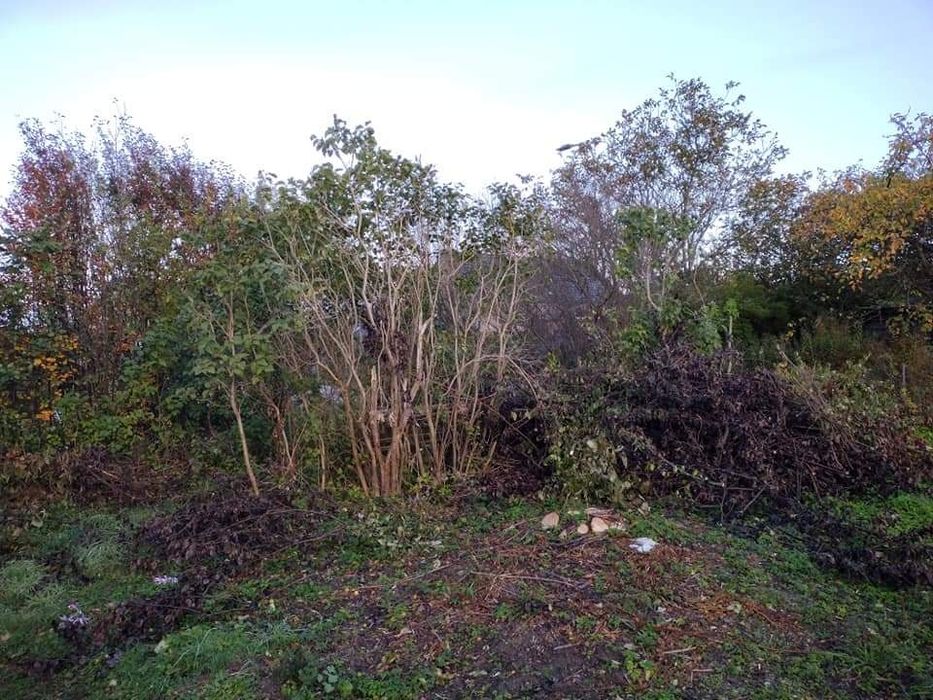 Przycinanie drzew,Przycinanie żywopłotów, utylizacja gałęzi, Koszenie