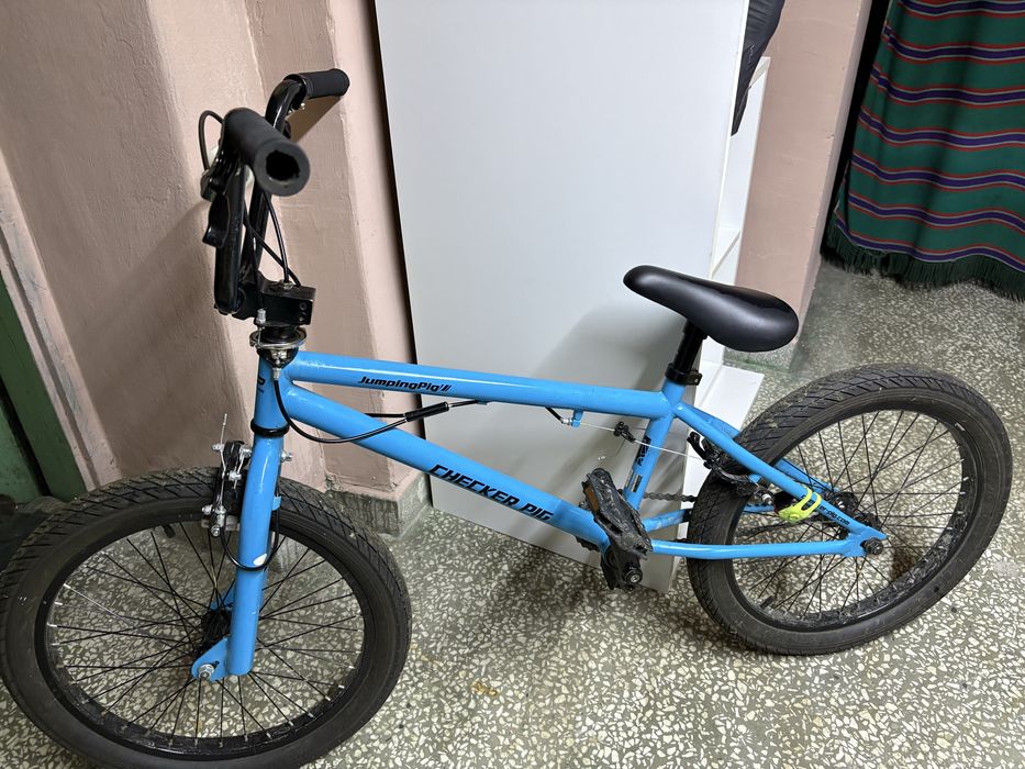 BMX CHecker Pig 20’