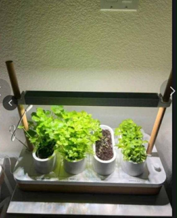 Skandynawski inteligentny ogród wewnętrzny