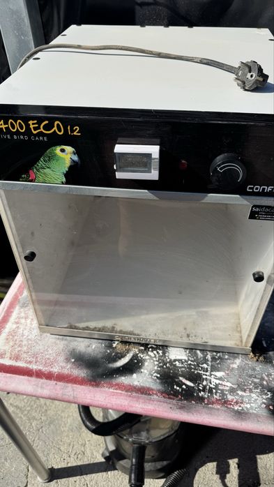 Maternidade para passaros
