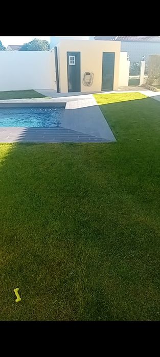 Telhados pinturas impermeabilizações.