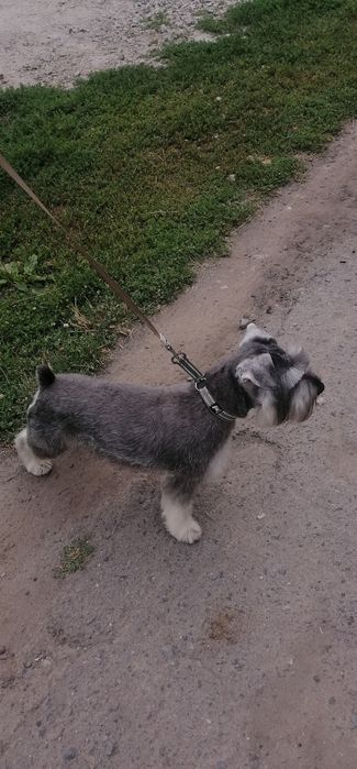 Парень ищет невесту