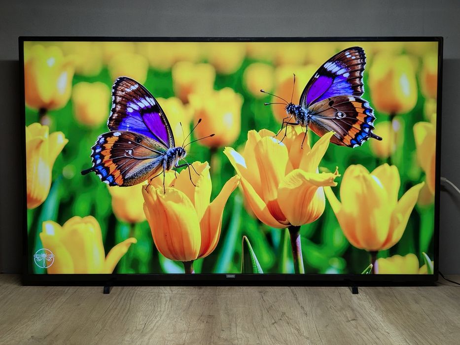 Philips 58PUS6203 4K Ultra HD Smart TV / 2019