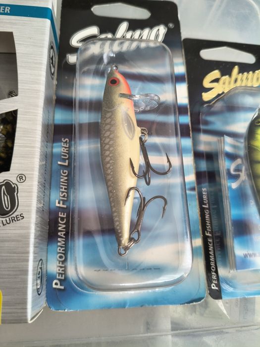 Salmo Bullhead Minnow