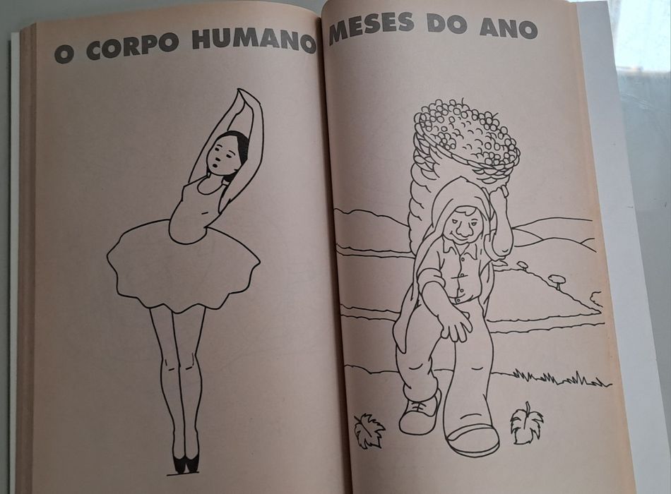 Livro para colorir varios temas