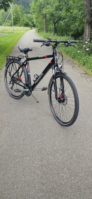 Rower Pegasus Solero