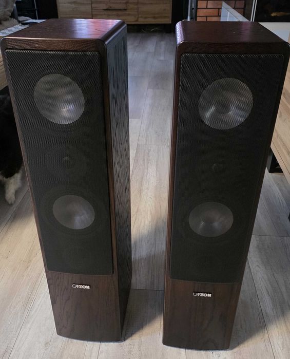 Canton Ergo 670DC kolumny podłogowe High End