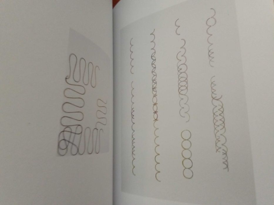 Bruno Castro Santos e Maria José Ortigão Ramos - Binário