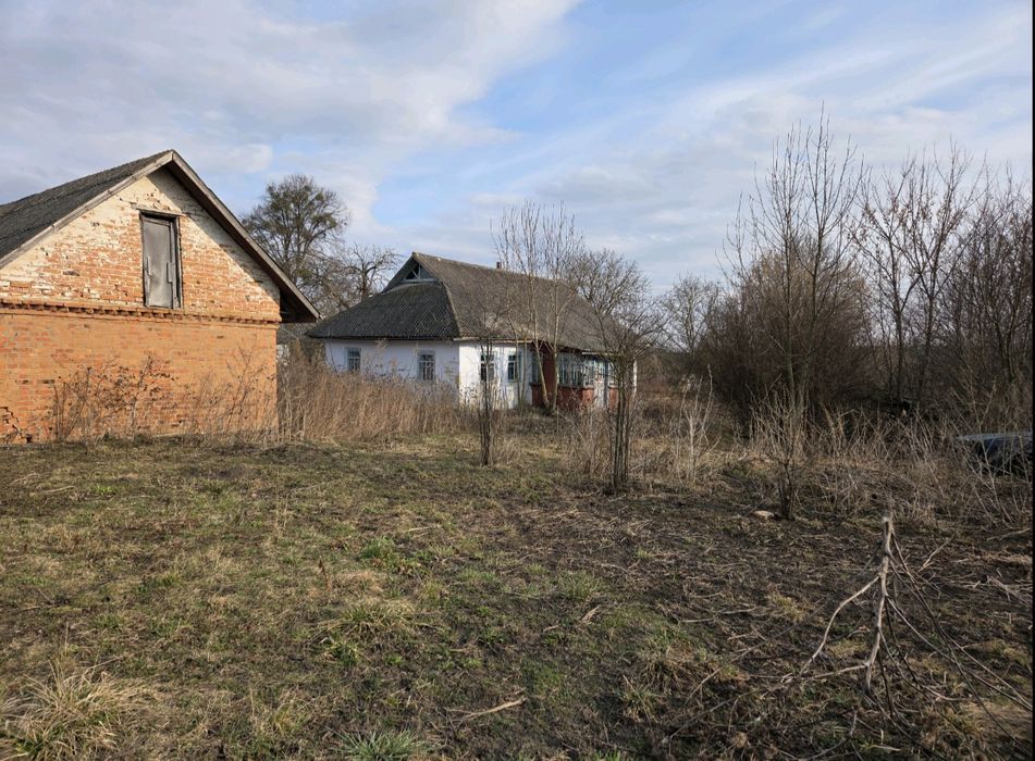 Продаж будинку,  село Маломолинці