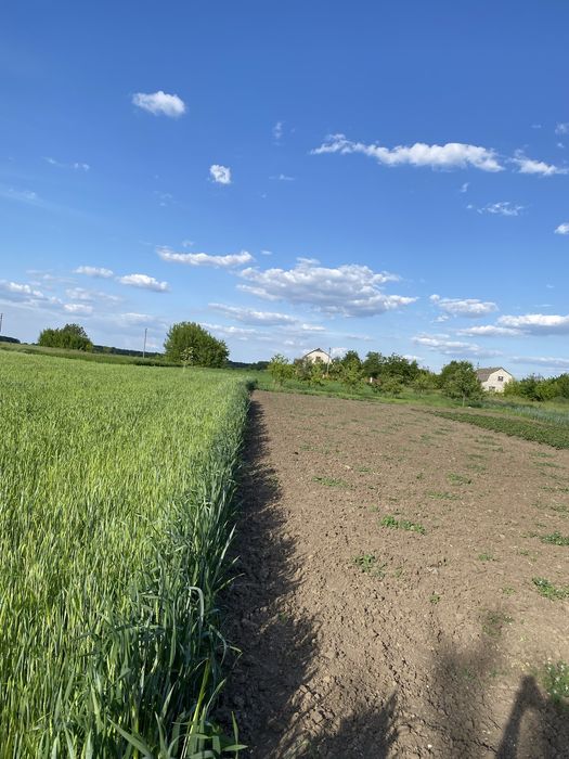 Продам земельну ділянку